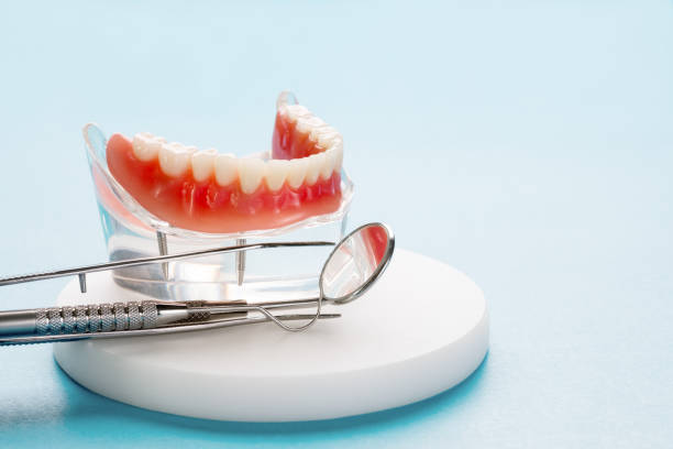 Best Dental X-Rays and Imaging  in Ormond Beach, FL