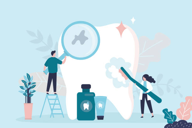 Ormond Beach, FL  Holistic Dental Services Company